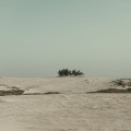 Wat is de beste reistijd voor Jordanië en waar moet je op letten?