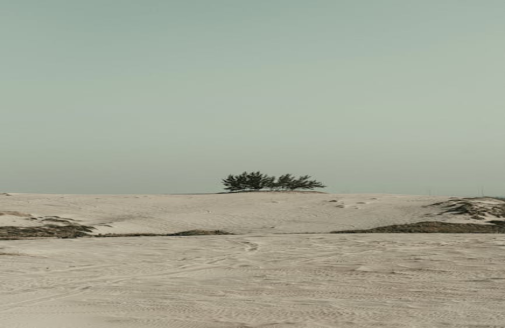 Wat is de beste reistijd voor Jordanië en waar moet je op letten?