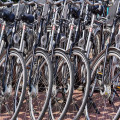 Fietsweekend in Den Haag: eigen fiets mee, OV-fiets of huren?
