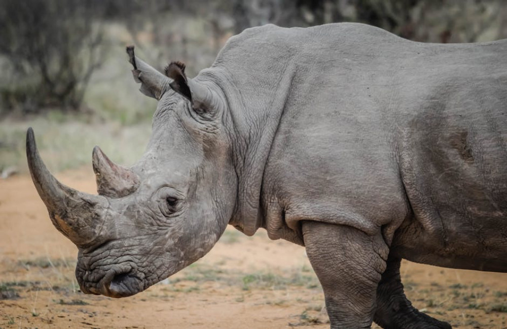 Ontdek de leukste dierentuinen? Avontuur voor jong en oud!