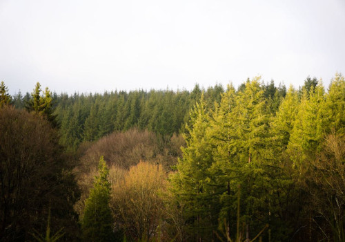 Wat is het mooiste dorp van de Ardennen om te bezoeken?