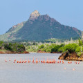 Ontdek het tropische paradijs Bonaire in 2024