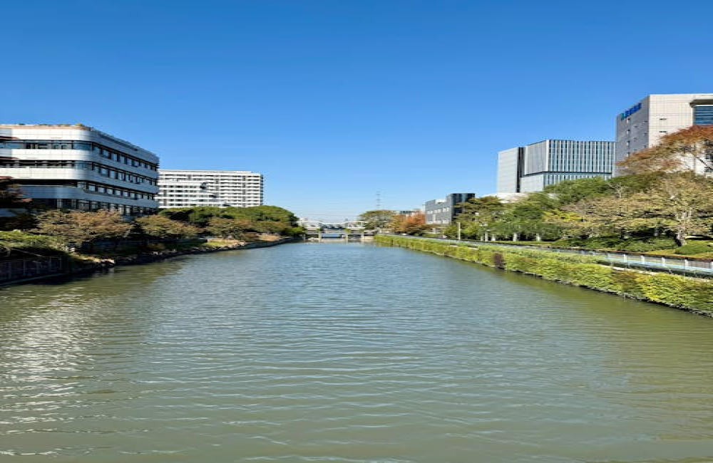Waarom wordt Brugge het Venetië van het noorden genoemd?