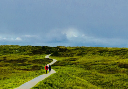 Waarom op vakantie naar de Waddeneilanden?