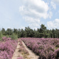 Handige checklist voor een verblijf in een Nederlands vakantiepark